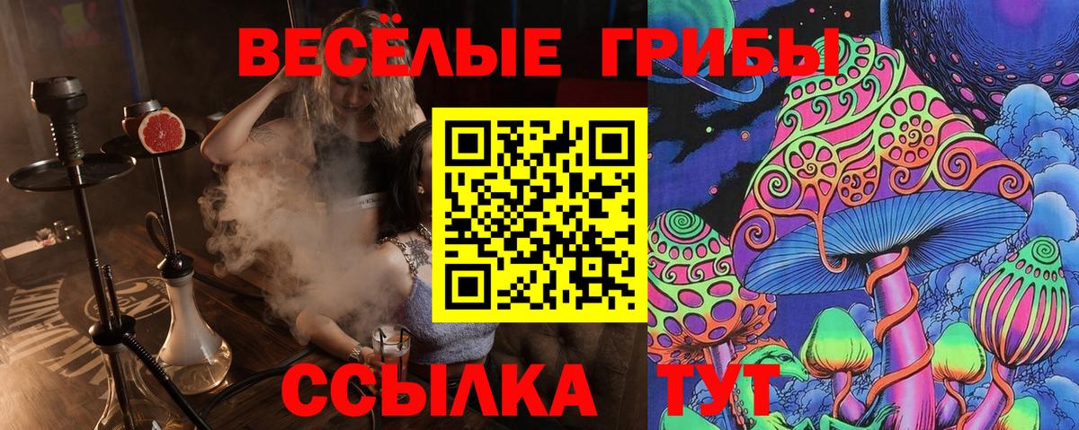 Павлово  Псилоцибиновые грибы GOLDEN TEACHER  Вход с VPN  Псилоцибиновые грибы Magic Shrooms 