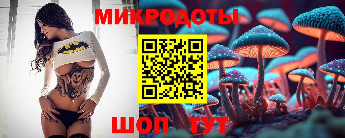 Псилоцибиновые грибы Psilocybine cubensis Павлово
